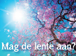 lente rose